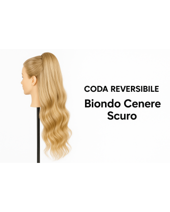 Coda Reversibile