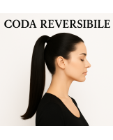 Coda reversibile